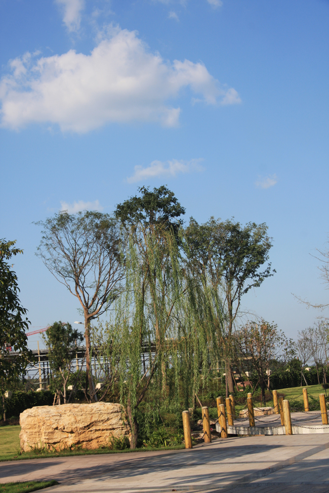 �������ǲ���(�й���)�ٷ���վ